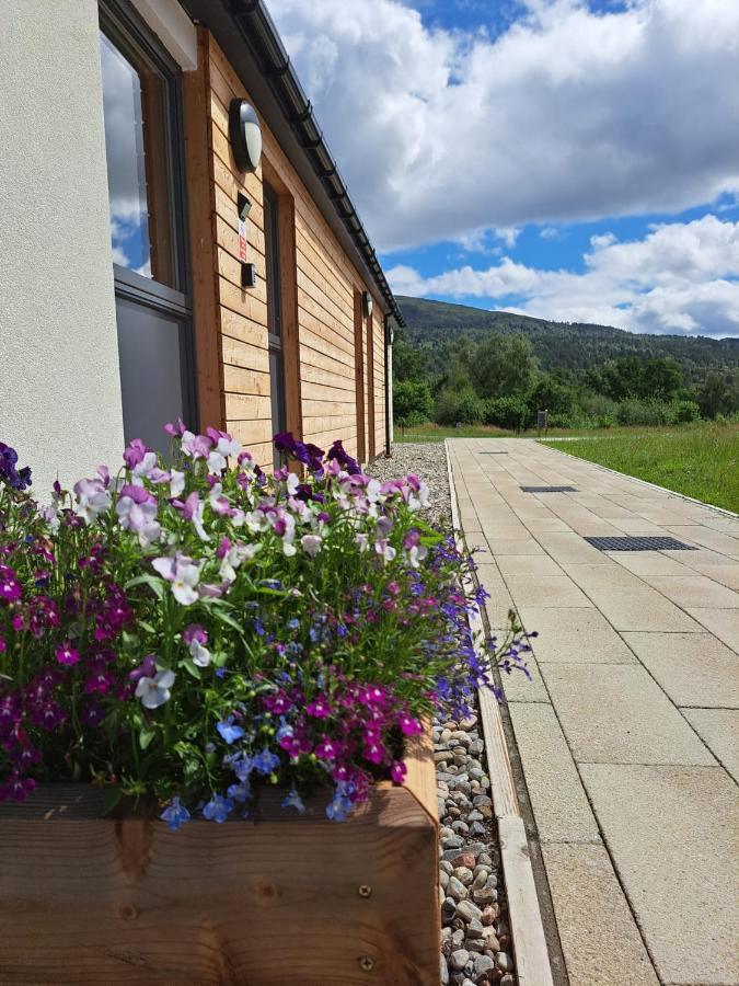 An Spiris Accommodation At Dundreggan Rewilding Centre Bagian luar foto